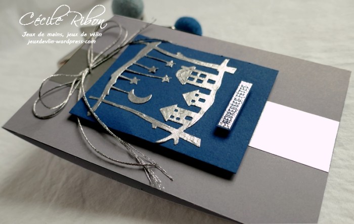 Carte CTS346 - P1100412