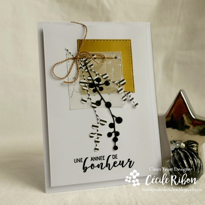 Carte FMS410 - P1100564