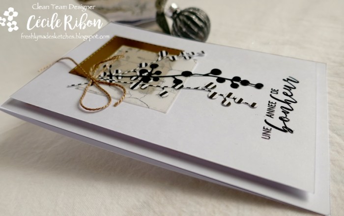 Carte FMS410 - P1100571