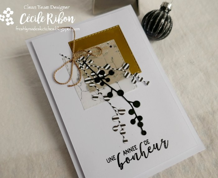 Carte FMS410 - P1100582