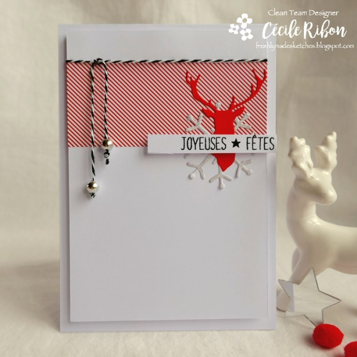 Carte FMS411 - P1100584