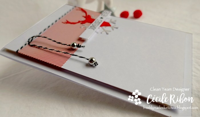 Carte FMS411 - P1100596