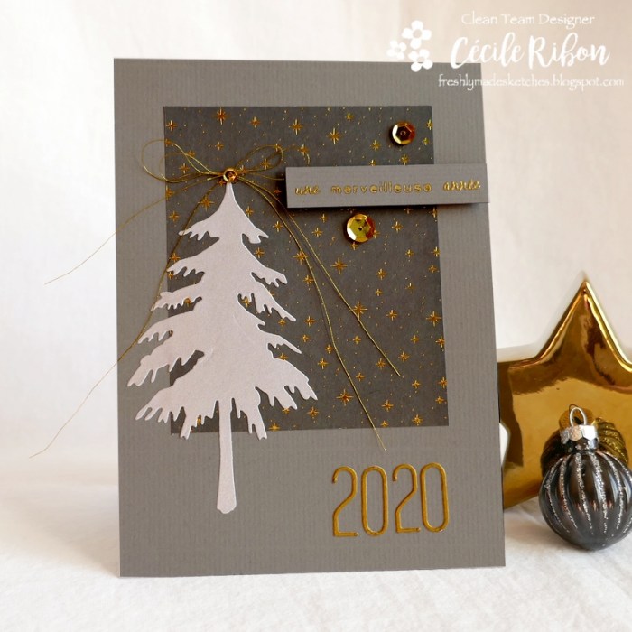 Carte FMS412 - P1110119