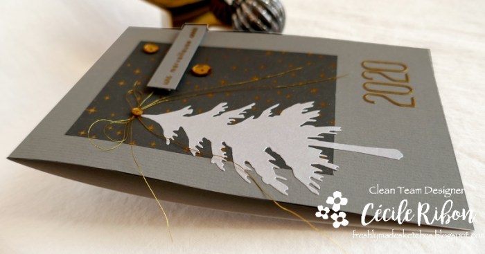 Carte FMS412 - P1110122