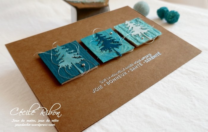 Carte JUGS514 - P1110159