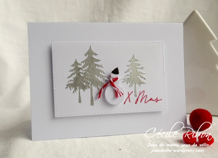 Carte JUGS515 - P1110510