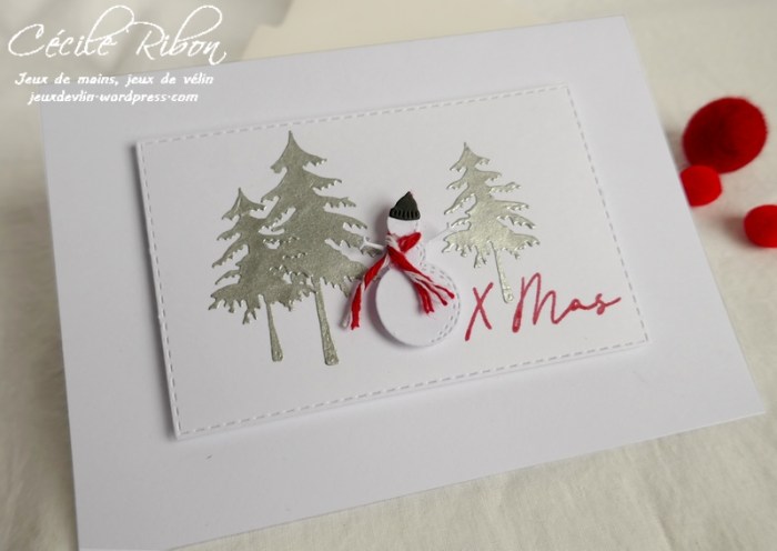 Carte JUGS515 - P1110529