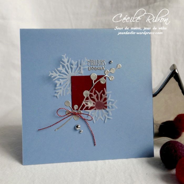 Carte AID63#2 - P1110369