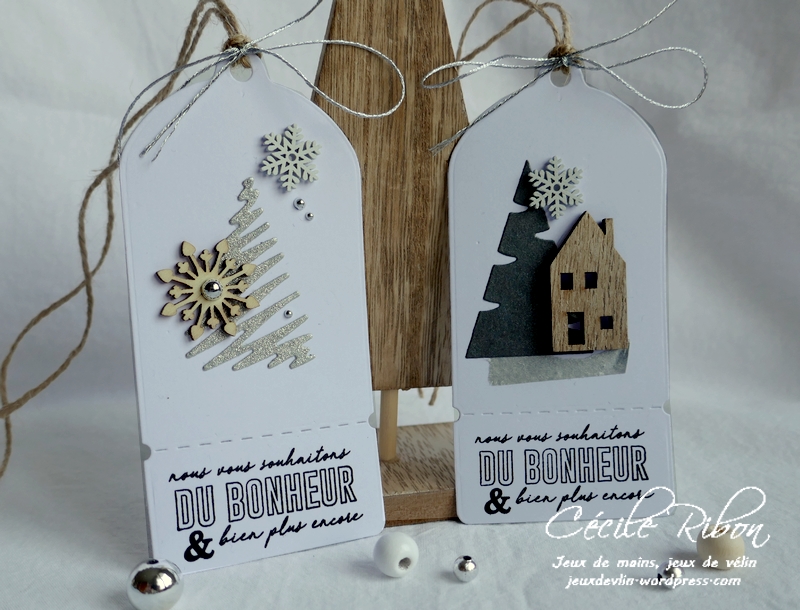 Carte AID64 - P1120835