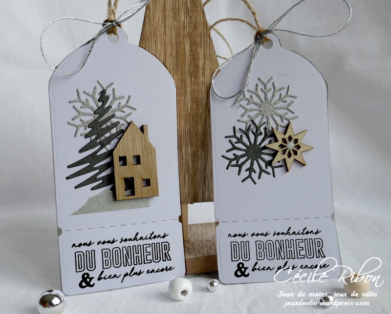 Carte AID64 - P1120844