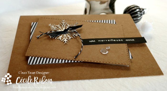 Carte FMS416 - P1120066