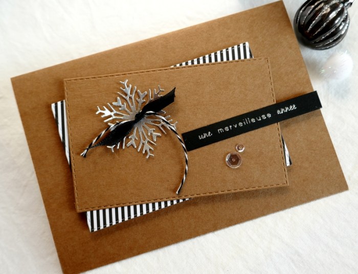 Carte FMS416 - P1120075