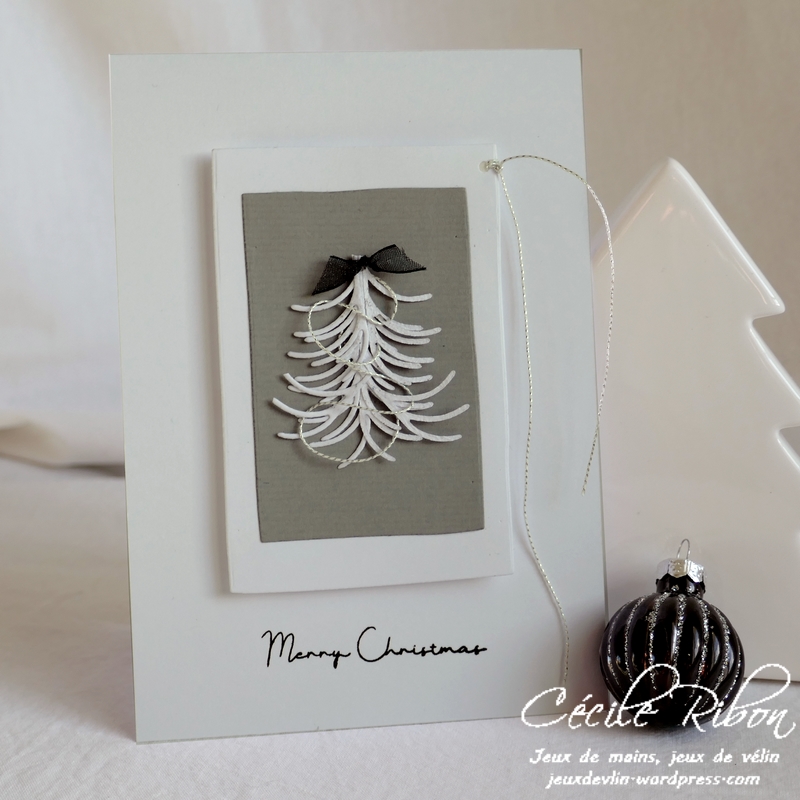 Carte SG7 - P1120910