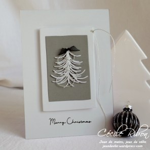 Carte SG7 - P1120910