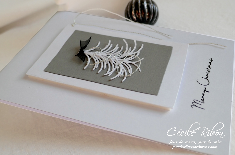 Carte SG7 - P1120913