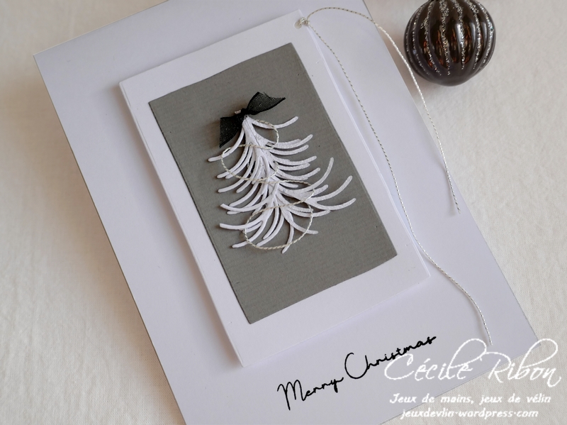 Carte SG7 - P1120923