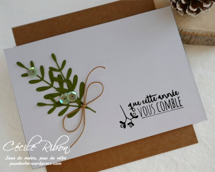 Carte SG8 - P1120960