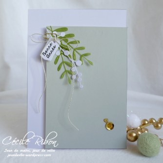 Carte SG9 - P1120990