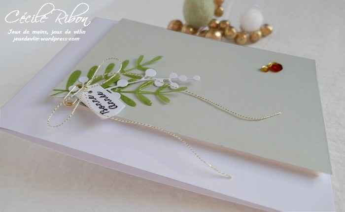 Carte SG9 - P1130003