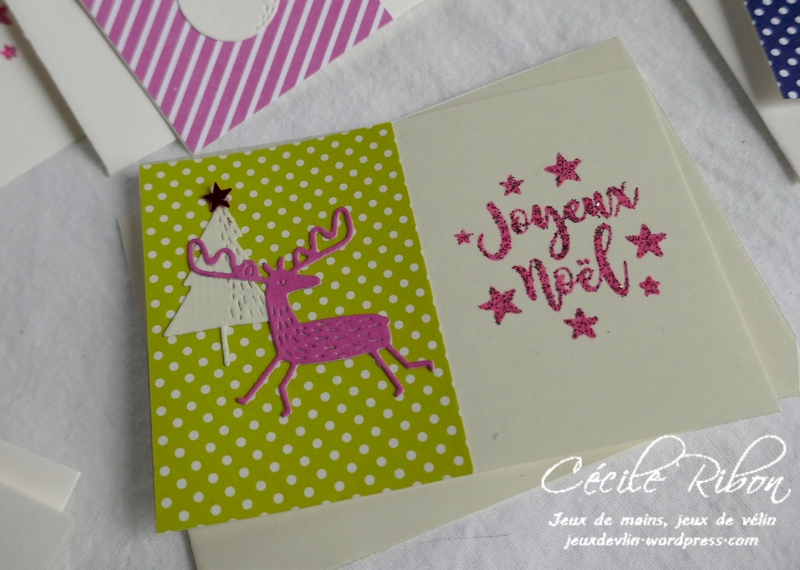 Minicartes01 - P1120546