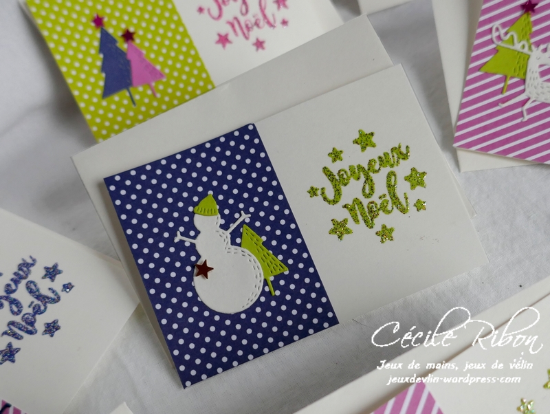 Minicartes01 - P1120547