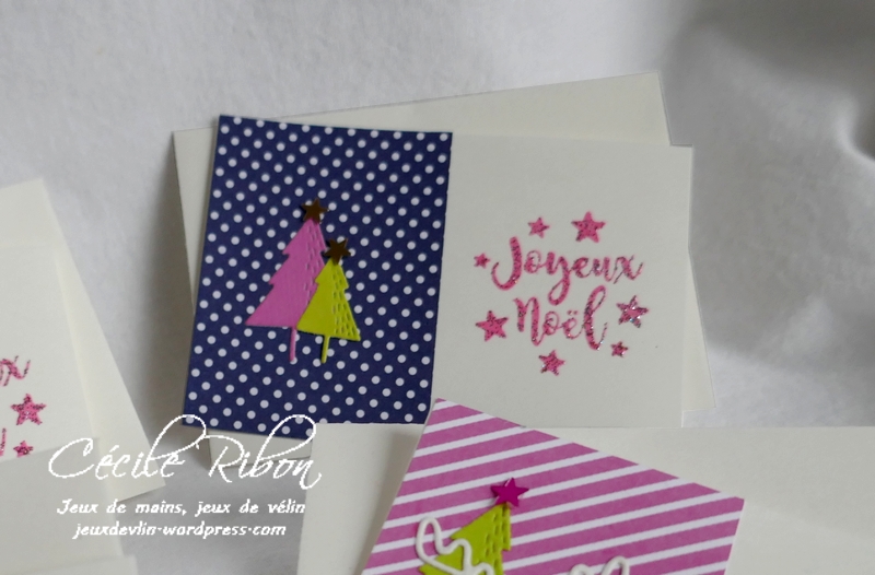 Minicartes01 - P1120549