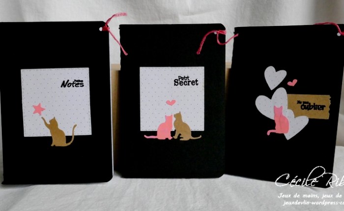 Des p’tits carnets #8