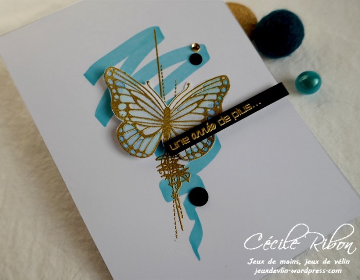 Carte AID65 - P1130048