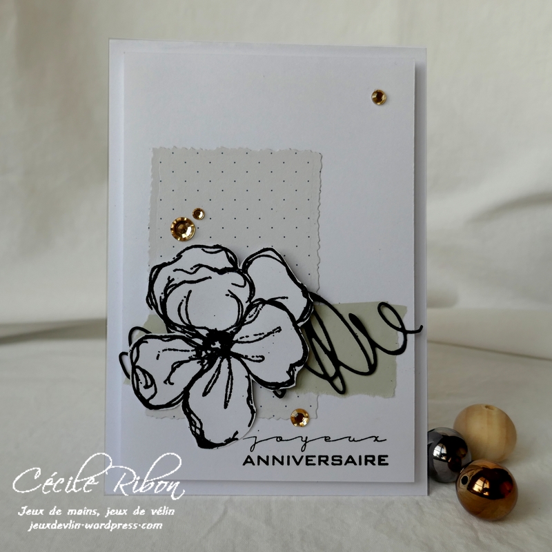 Carte CBBB23 - P1130362