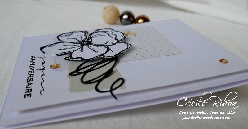 Carte CBBB23 - P1130376