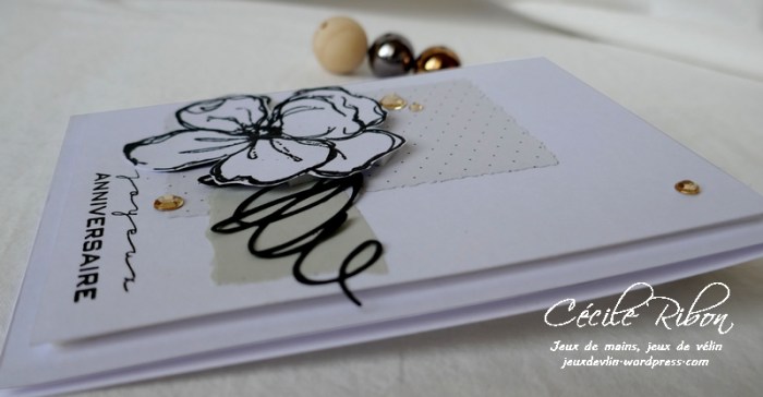 Carte CBBB23 - P1130376