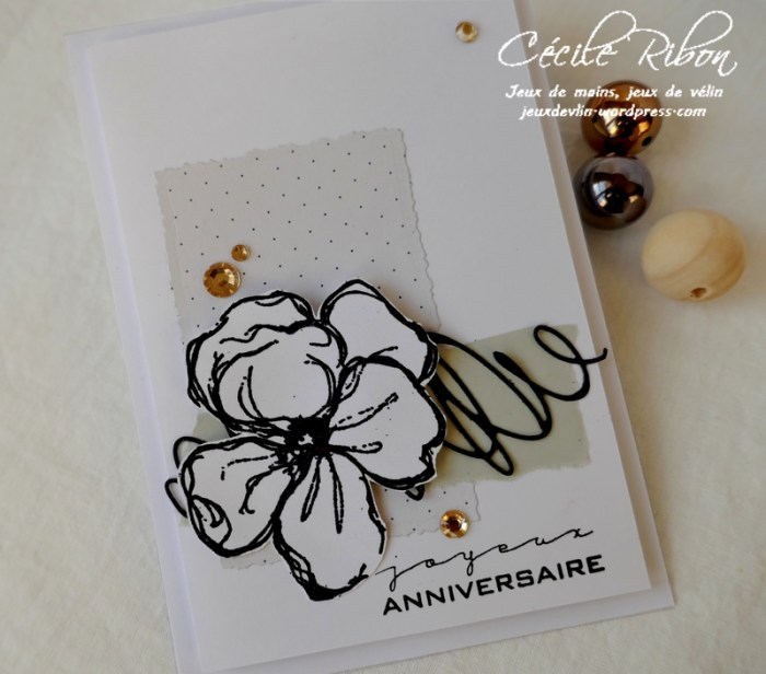 Carte CBBB23 - P1130389