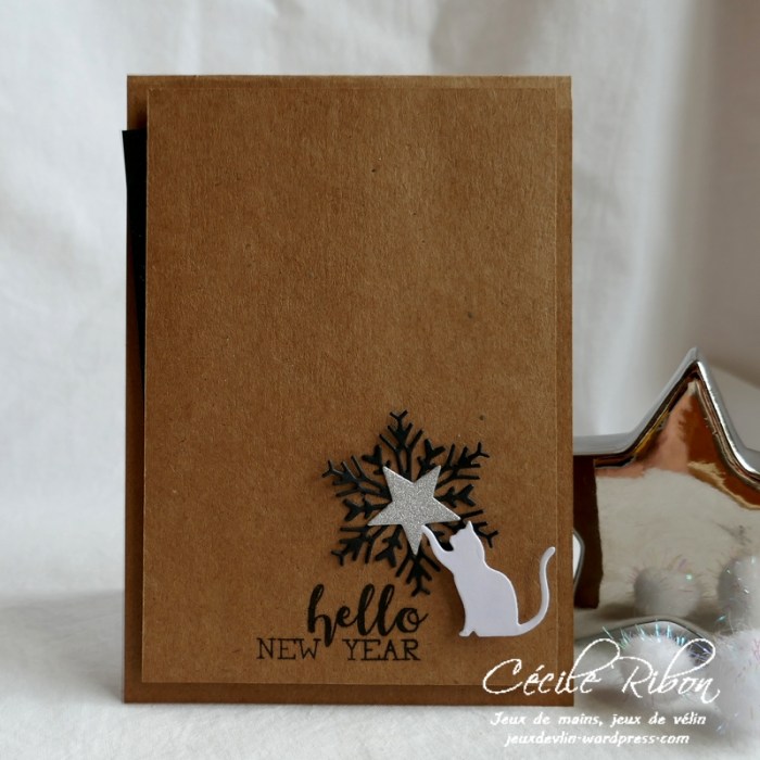 Carte CTS355 - P1130404