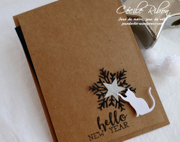 Carte CTS355 - P1130427