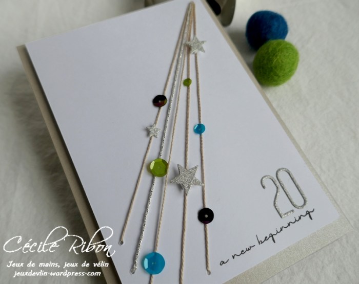 Carte CTS356 - P1130871