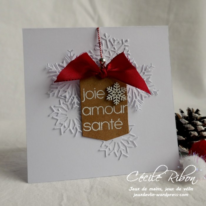 Carte JUGS517 - P1130092