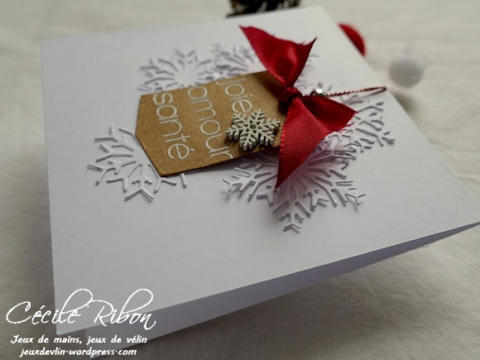 Carte JUGS517 - P1130106