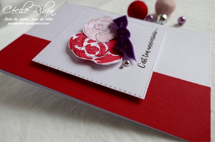 Carte JUGS519 - P1130273