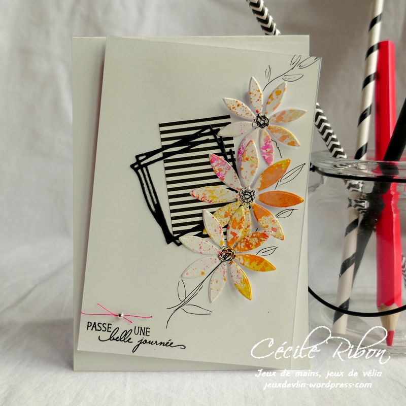 Carte AID67 - P1130742