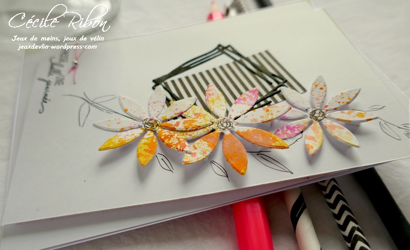 Carte AID67 - P1130754