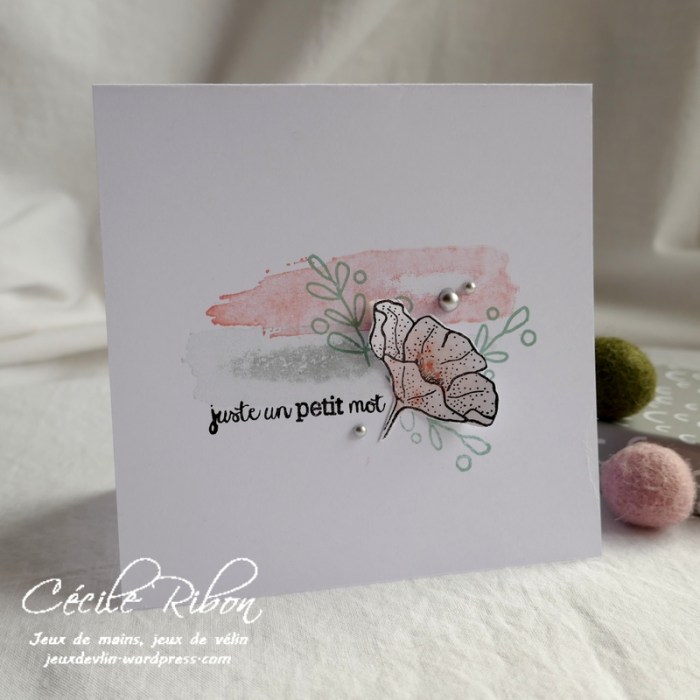 Carte CBBB24 - P1140404