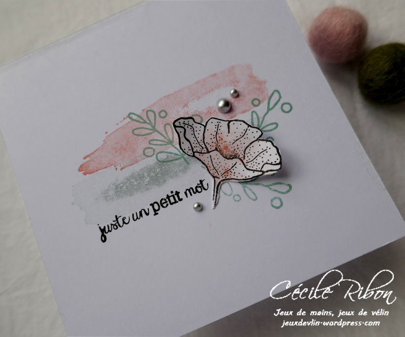 Carte CBBB24 - P1140440