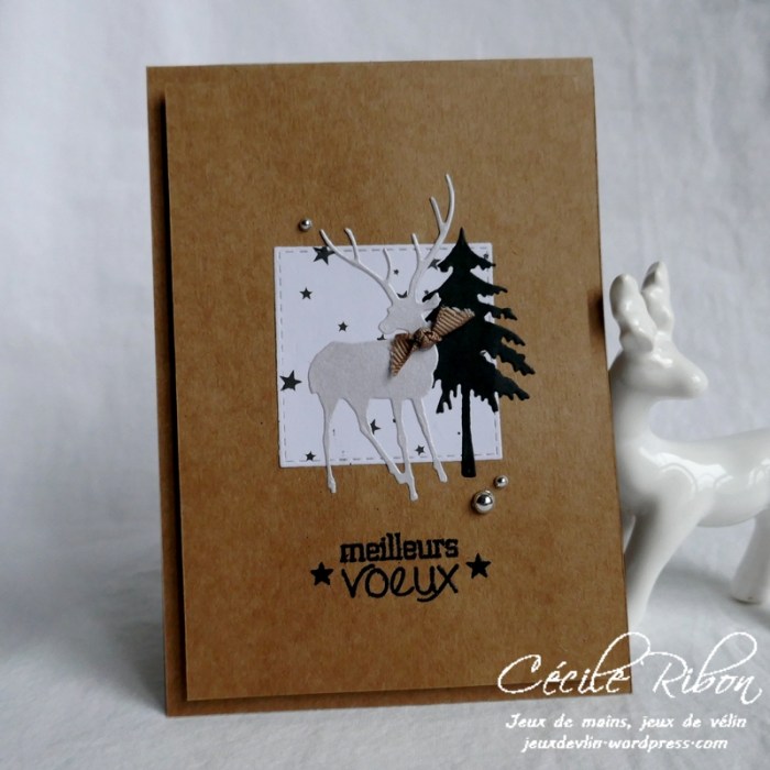 Carte Corinne - P1120702