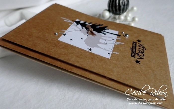 Carte Corinne - P1120714