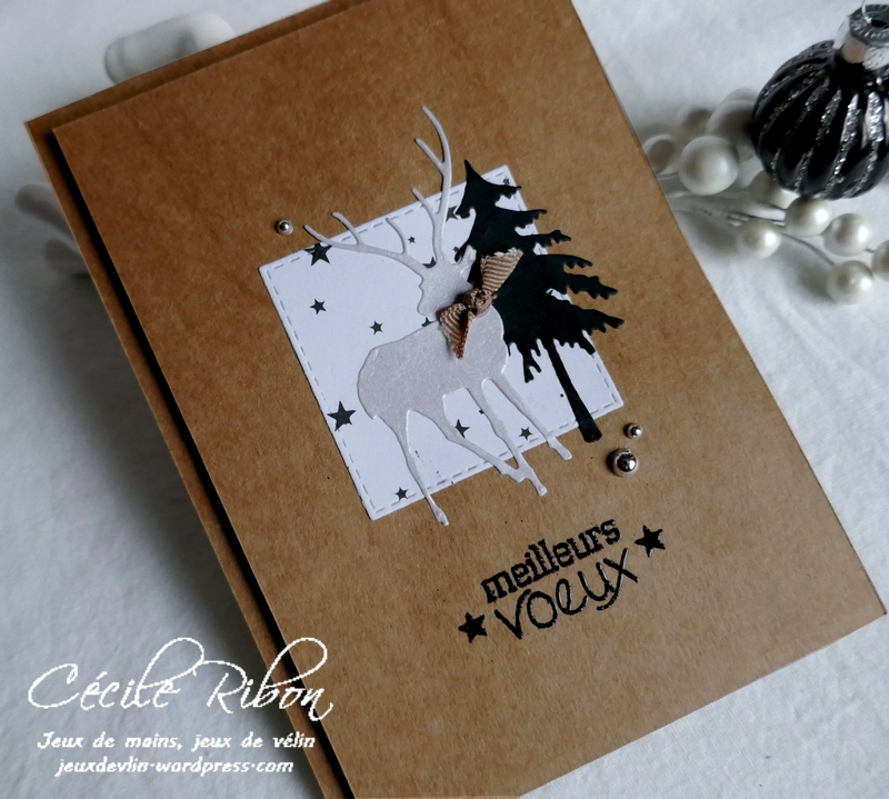 Carte Corinne - P1120721