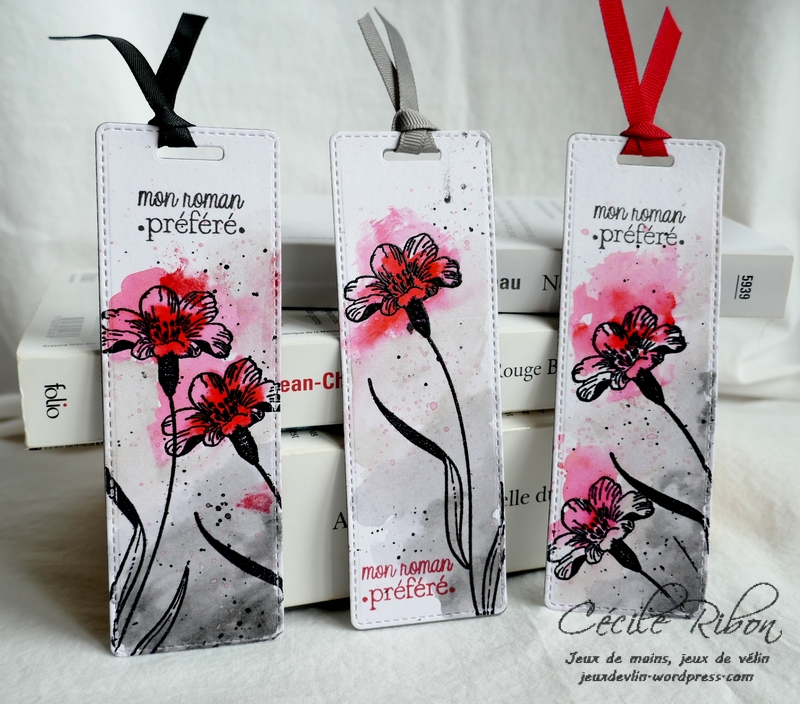 Carte CTD578 - P1140231