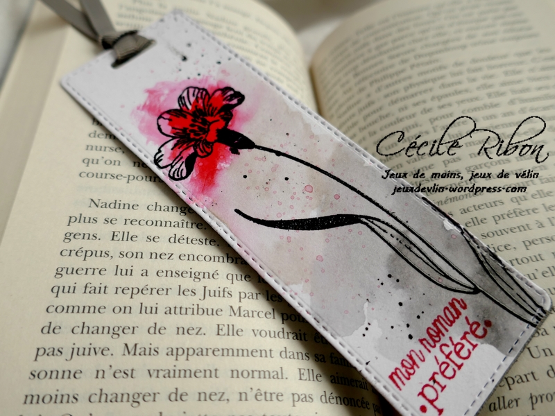 Carte CTD578 - P1140254