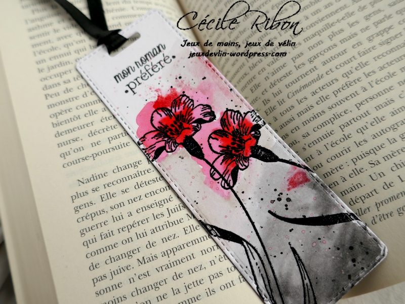 Carte CTD578 - P1140261