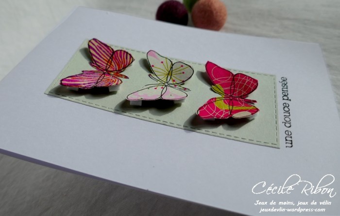 Carte CTD581 - P1150086