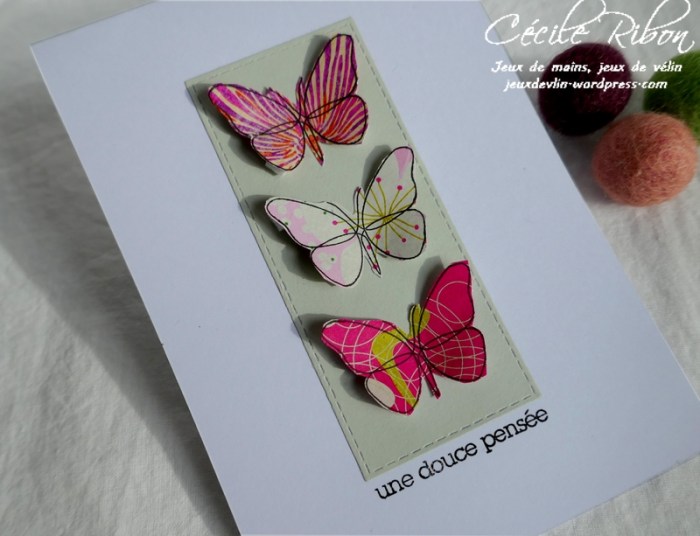 Carte CTD581 - P1150093